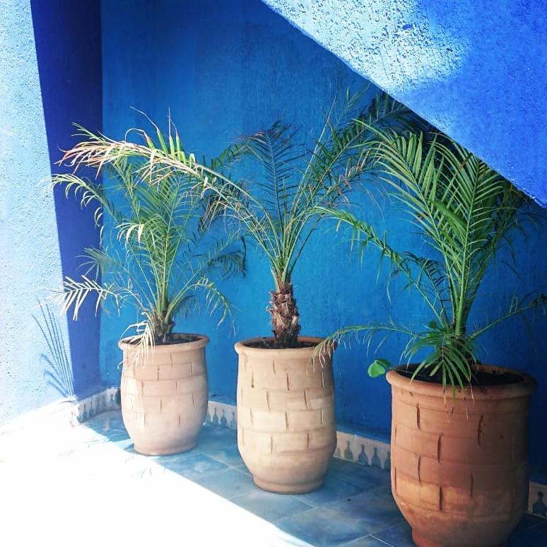 Dar Massaneh Vila Essaouira Exterior foto
